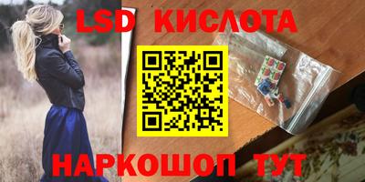 спайс Кингисепп
