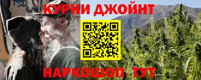 спайс Кингисепп