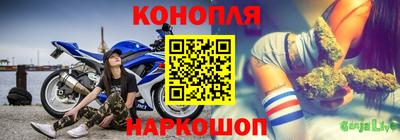 спайс Кингисепп
