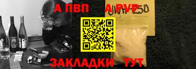 спайс Кингисепп