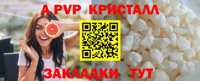 спайс Кингисепп