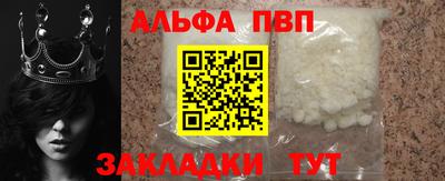 спайс Кингисепп