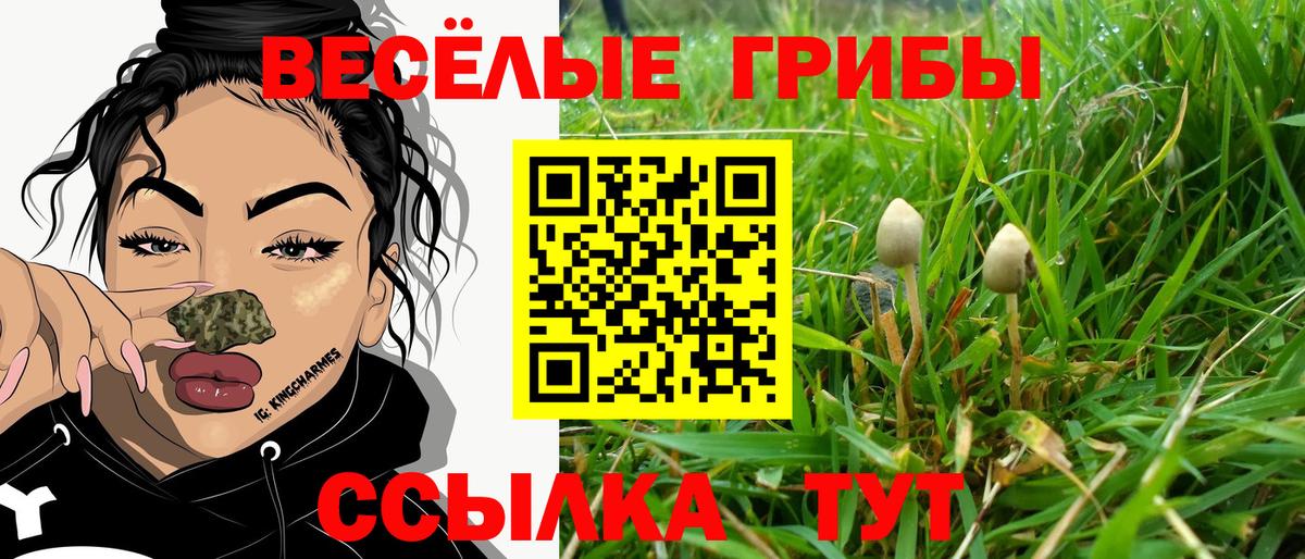 Галлюциногенные грибы MAGIC MUSHROOMS Красноярск