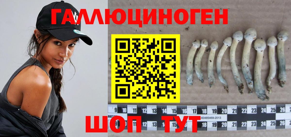 Галлюциногенные грибы мицелий  цена наркотик  Красноярск  Галлюциногенные грибы мицелий  Вход с VPN 